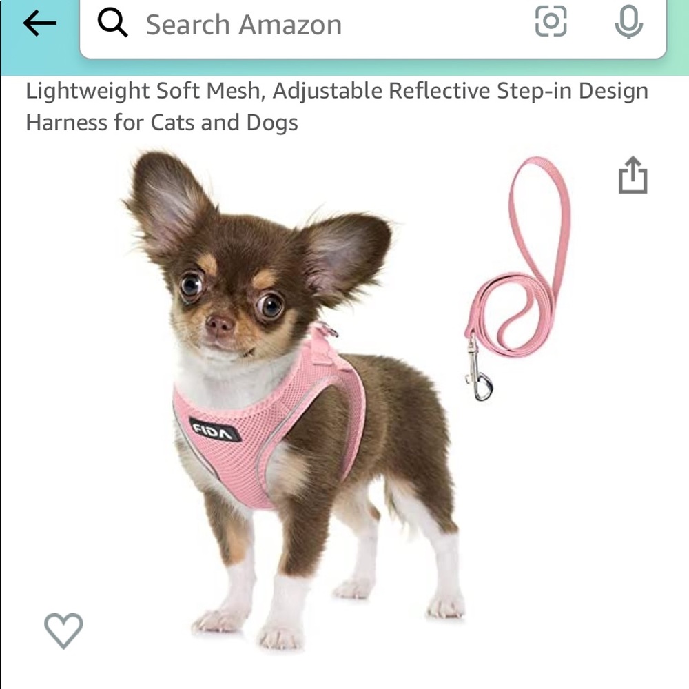 New Fita dog harness and leash